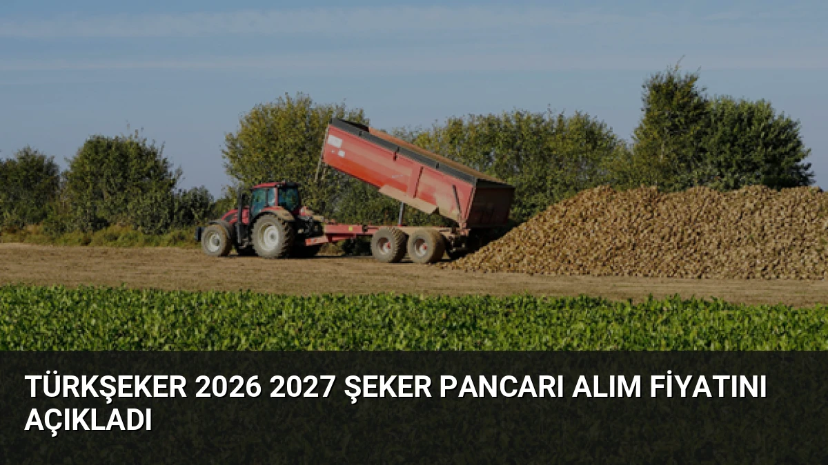 Türkşeker 2026 2027 Şeker Pancarı Alım Fiyatını Açıkladı