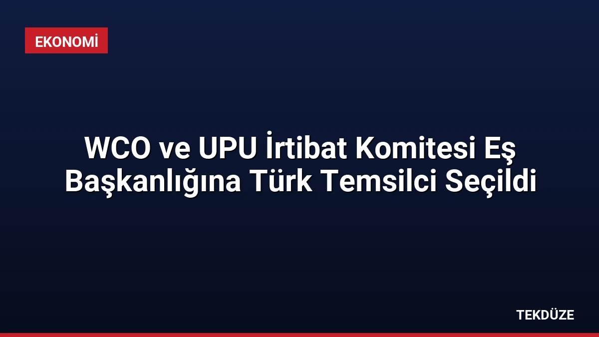 WCO ve UPU İrtibat Komitesi Eş Başkanlığına Türk Temsilci Seçildi